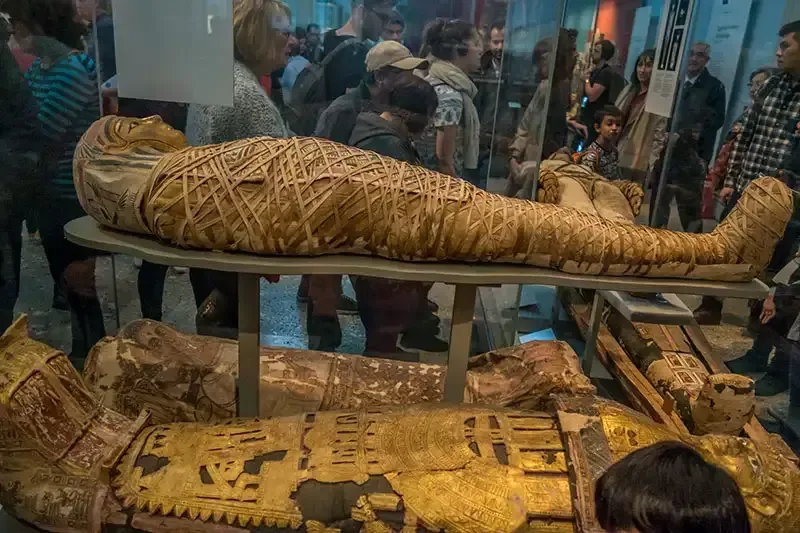 Tour to the Grand Egyptian Museum 